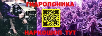 стафф Бугуруслан